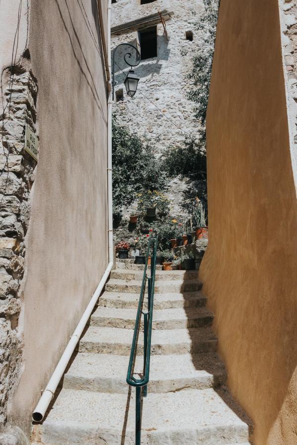 Casa Farniente Appartement Cocooning Provence Verte Montfort-sur-Argens Exteriér fotografie